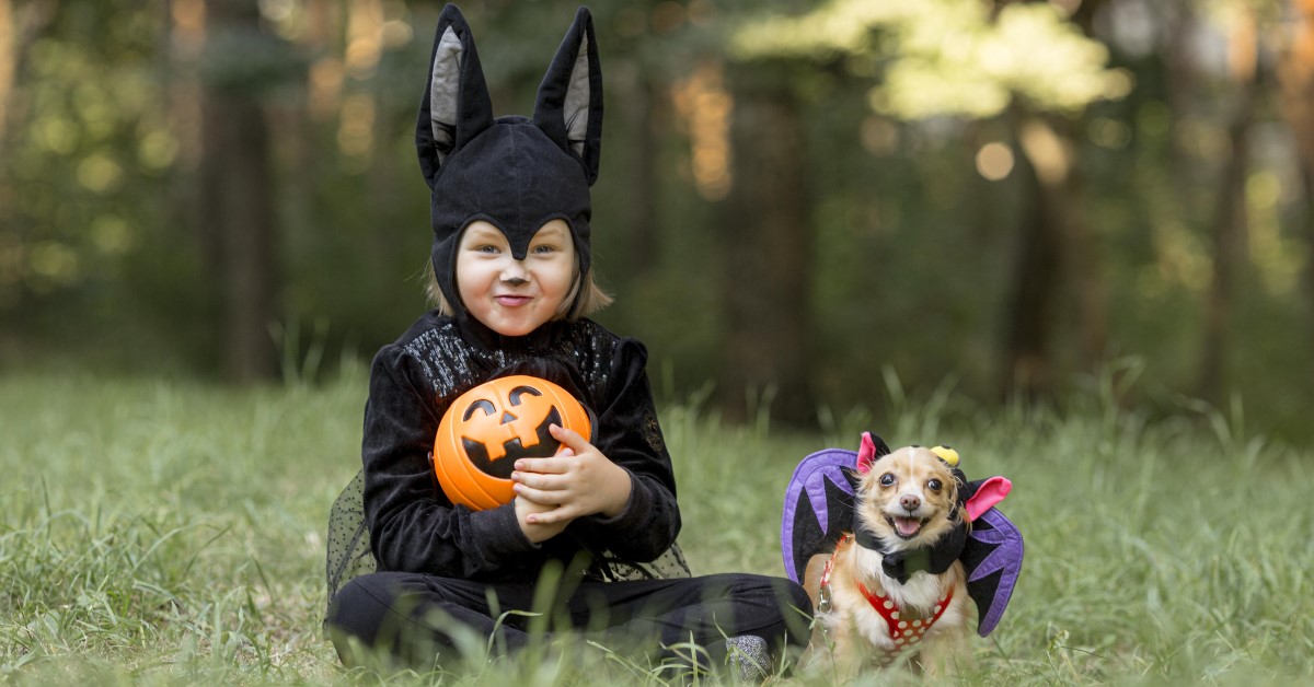 Trick or Treat! A Happier Halloween for Your Pet